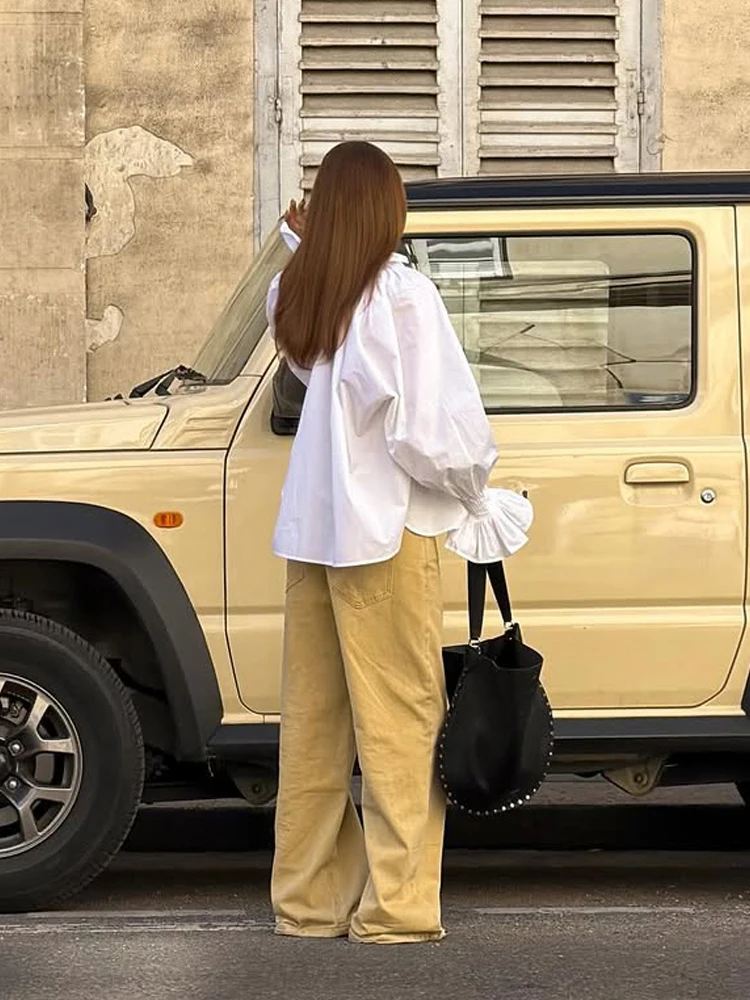 Women White V Neck Tie Front L - Tie Front Shirt 评论和价格