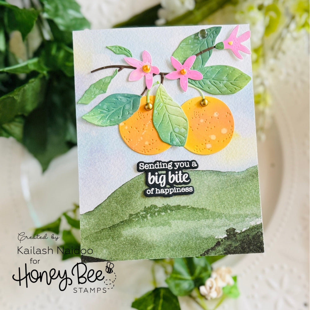 July 2026 New Perfect Picnic R - Summer Clothing Release 评论和价格