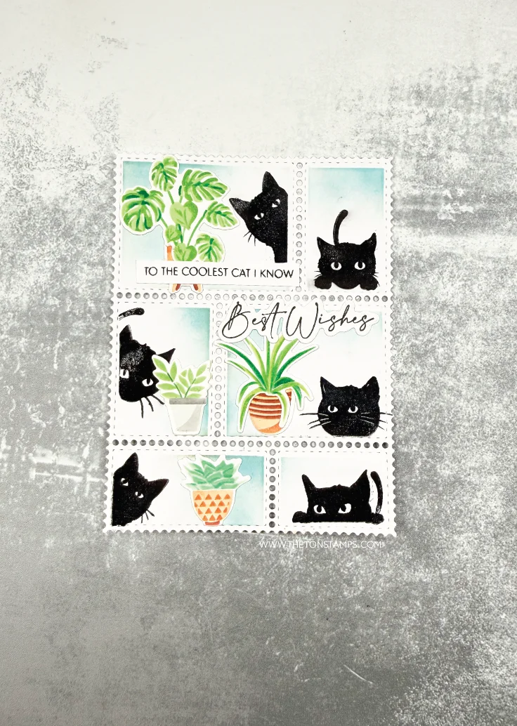 Summer Sea Turtle Clematis Cat - Summer Clothing Release 评论和价格
